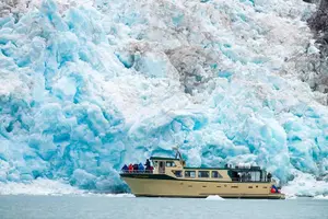 Tour image of Full-Day Kenai Fjords National Park Northwestern Cruise
