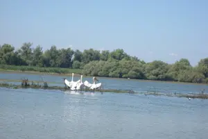 Tour image of ***Daily Tour in the Danube Delta Departing from Tulcea Port***