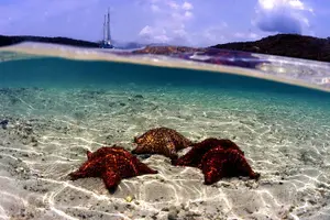 Tour image of Island Boat Tour in and around the stunning waters of the British Virgin Islands