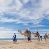 Image of Pack Animal Tours