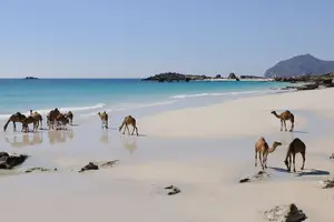 Tour image of East and West Salalah Combination Private Full-day Tour