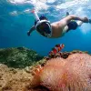 Image of Snorkeling