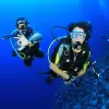 Image of Scuba Diving
