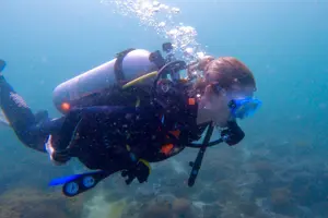 Tour image of Private scuba diving trips Muscat