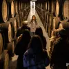 Image of Chocolate Tours