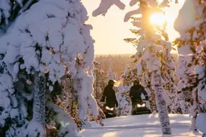 Tour image of Half-Day Snowmobile Tour in Lappish Forests from Levi