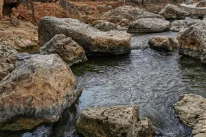 Tour image of 8 Hours of West Salalah Best | Private Tour