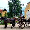 Image of Horseback Riding