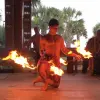 Image of Shows & Performances