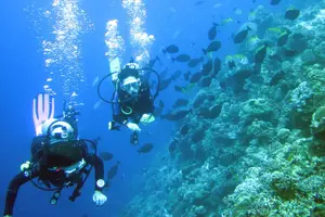 Tour image of Fun Boat Dive for certified diver