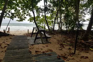 Tour image of Full-Day Tour to Cahuita National Park from Puerto Limon