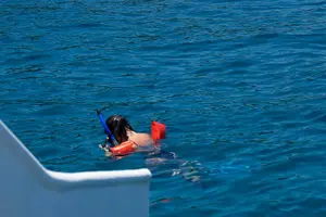 Tour image of Snorkel tour Canyon island Drake Bay with Lunch