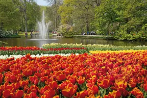 Tour image of From Amsterdam: Keukenhof Gardens Ticket and Transfer