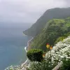 Image of Eco Tours