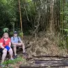 Image of Hiking Tours