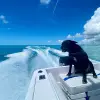 Image of Freediving