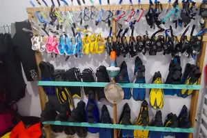 Tour image of All inclusive Snorkeling at Hol Chan