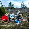 Image of Wildlife Encounters