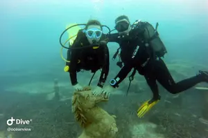 Tour image of Discover Scuba diving