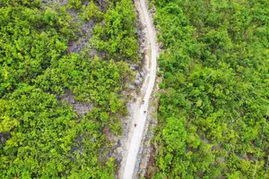Tour image of Canyoneering Cebu in Kawasan falls + meals + Cebu transfer option