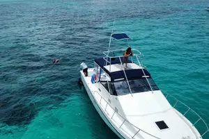Tour image of Private 38' Defender Sportfishing/Swim with Pigs in Nassau