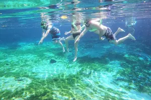 Tour image of Three Sisters Springs Kayak And Swim Eco-Tour Crystal River