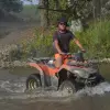 Image of Mountain Bike Tours
