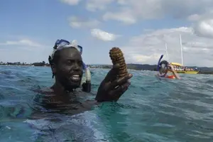 Tour image of Rick's Cafe Sunset Cruise and Snorkelling