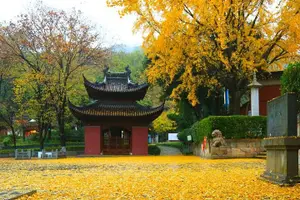 Tour image of Half-Day Private Tour to Qixia Temple and Swallow Rock in Nanjing