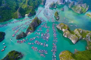 Tour image of Indochina Sails Halong Bay