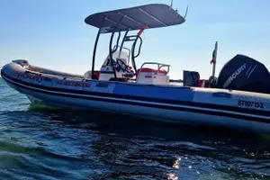 Tour image of Boat trip in the Camargue from Le Grau-du-Roi