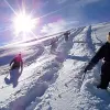Image of Snowshoeing