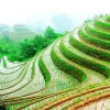 Image of Plantation Tours