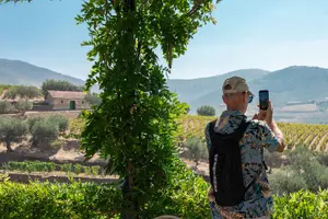 Tour image of Complete Douro Valley Wine Tour with Lunch, Wine Tastings and River Cruise