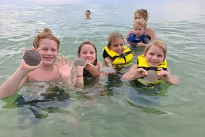 Tour image of Half-Day Private Boating On Black Hurricane - Clearwater Beach