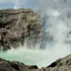 Image of Nature Walks