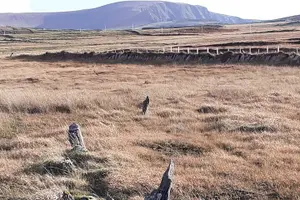 Tour image of Historical Walking Tours in Valentia and the Skellig Region