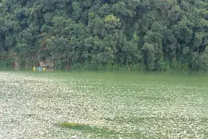 Tour image of Entire Pokhara City Tour by Private Car