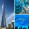Image of Zoos & Wildlife Parks
