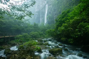 Tour image of 1-Day Private Tour to Glass Bridge & Yellow Dragon Cave