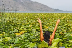 Tour image of 1-hour Kayak Adventure through Skadar Lake from Virpazar