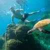 Image of Snorkeling