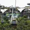 Image of Gondola Cruises