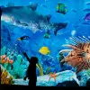 Image of Aquariums