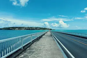 Tour image of Okinawa Hip-hop Bus C Course Tour to Northern Island