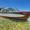 Image of Sightseeing Cruises