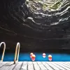 Image of Traditional Wellness