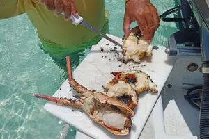 Tour image of Private Snorkeling And Fishing Activity