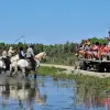 Image of Wildlife Watching