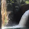 Image of Nature Walks